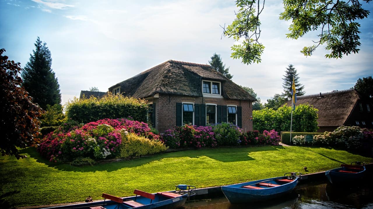 a house with green lawn