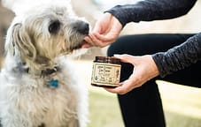 cbd treat