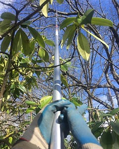 branch-cutting using a cordless saw