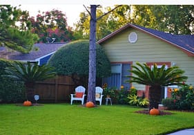 home gardening