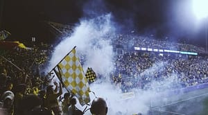 fans in a football match
