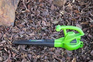 electric leaf blower