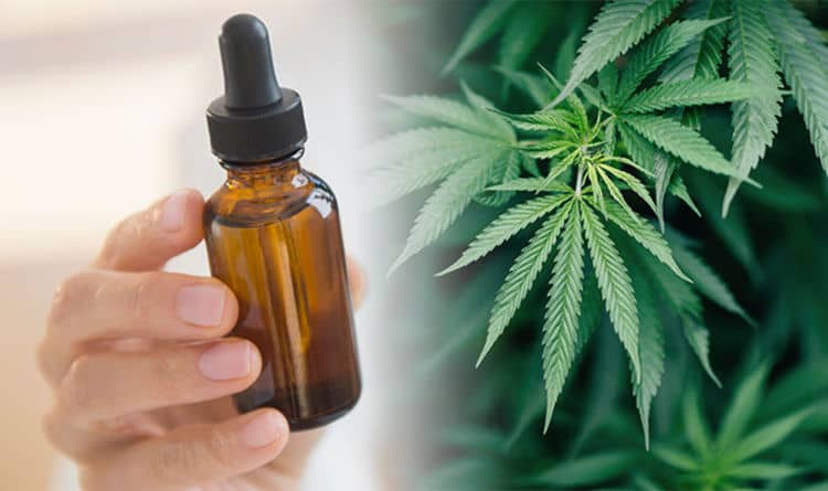 cbd oil
