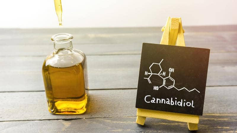 All You need to Know About CBD Oil