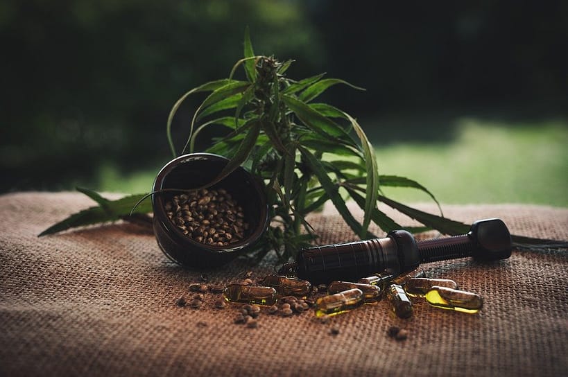 Factors to Consider When Choosing Hemp Oil