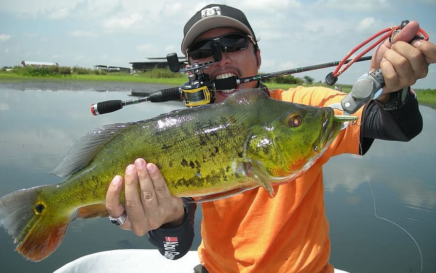 Fish LIp Gripper Buying Guide